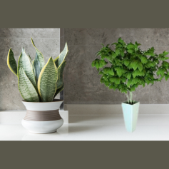 pot de fleur